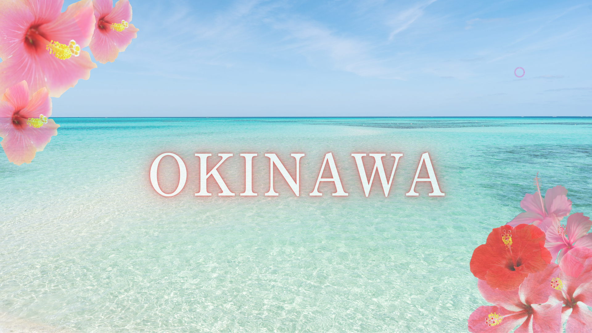 CHURANA Office｜Okinawa Export
